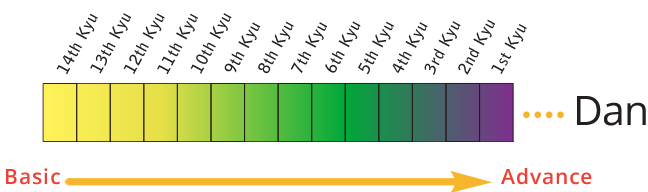 Abacus Level Structure